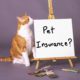 how to buy pet insurance with no waiting period