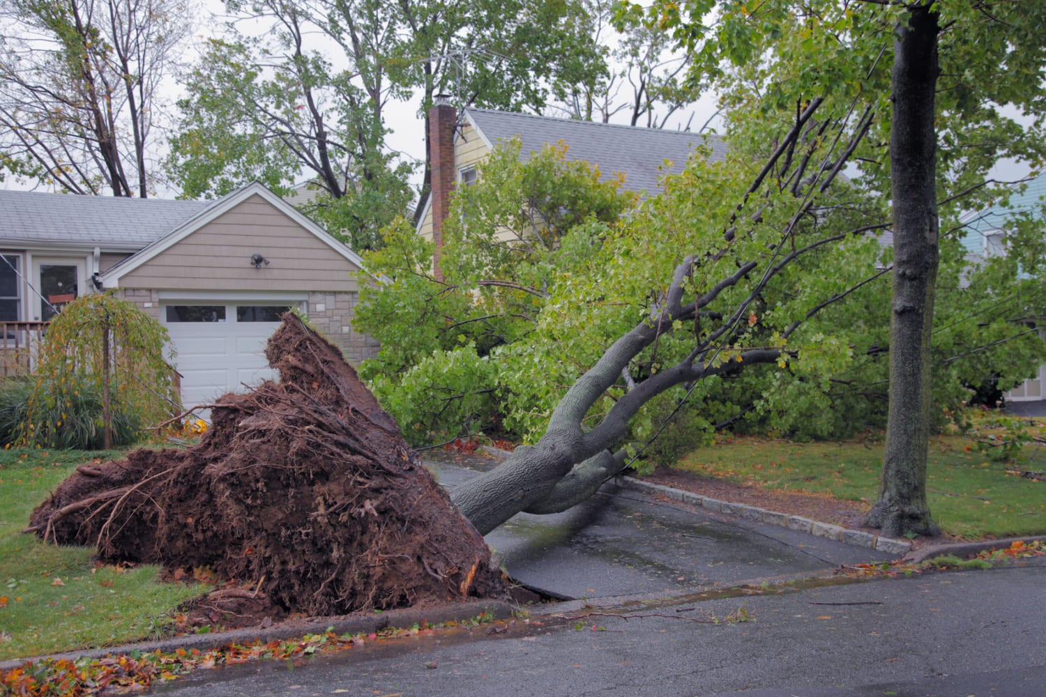 how to prepare your home for a hurricane