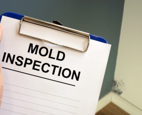 mold can mess up your homeowners insurance