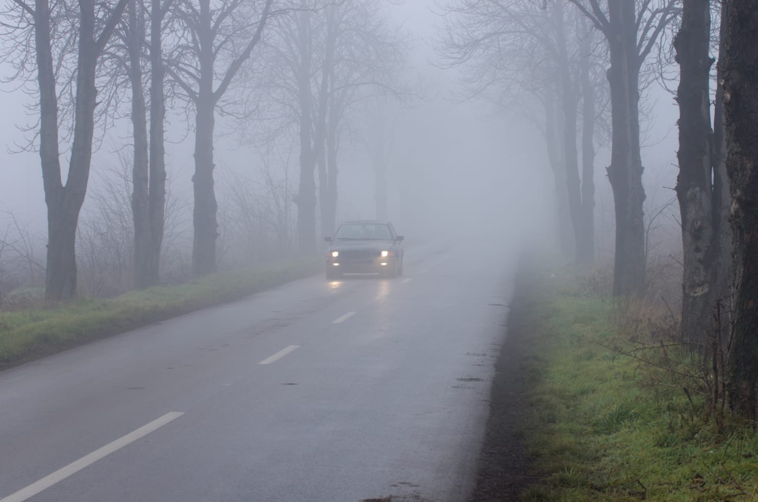 tips for driving in fog